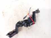 Lampenträger Heckleuchte - Hinten Peugeot 307, 2005.06 - 2008.06 Gebraucht,