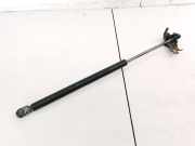 Gasdruckfeder Kofferraum Toyota Aygo, 2005.07 - 2009.12 6895002040,68950-02040