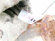 Tankeinfüllstutzen Tankrohr Kraftstoffrohr Mazda 3, BK 2003.10 - 2009.06 Gebraucht ,