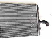 Ladeluftkühler Volkswagen Passat, B6 2005.08 - 2010.11 3C0145805G, Bkp
