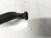 Entlüftungsschlauch Kraftstoffbehälter Audi TT, 2006.08 - 2014.06 Gebraucht,