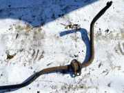 Stabilisator Vorne Toyota Avensis, II 2006.03 - 2008.12 facelift Gebraucht,