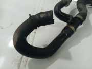 Kühlerschlauch Ford C-MAX, 2003.01 - 2007.06 Gebraucht ,