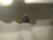 Waschwasserdüse Scheibenreinigung SAAB 9-5, 1997.09 - 2005.11 Gebraucht,