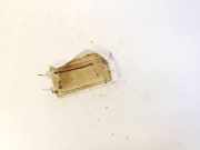 Innenraumleuchte Audi 80, B4 1991.09 - 1995.01 Gebraucht,