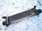 Ladeluftkühler Mercedes-Benz Vaneo 2002 - 2005 a1685000000,01009990000