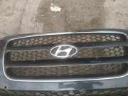 Kühlergrill Frontgrill Kühlergitter Hyundai Santa Fe, 2006.03 - 2012.09 Gebraucht,