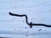 Stabilisator Vorne Mazda 5, CR 2005.02 - 2010.09 Gebraucht,
