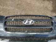 Kühlergrill Frontgrill Kühlergitter Hyundai Santa Fe, 2006.03 - 2012.09 Gebraucht,