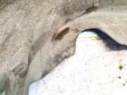 Radhausschale - Hinten Linke Nissan Primera, P12 2002.01 - 2008.12 76741av600,