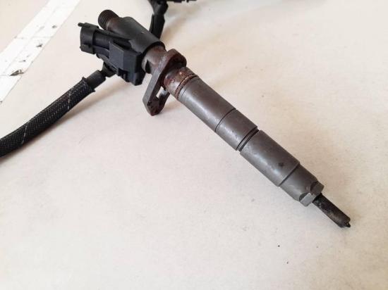 Einspritzdüse Land-Rover Range Rover Sport 2005 - 2013 9X2Q9K546DB, 9X2Q-9K546-DB 0445116 Bild Einspritzdüse Land-Rover Range Rover Sport 2005 - 2013 9X2Q9K546DB, 9X2Q-9K546-DB 0445116