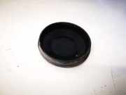 Blende Scheinwerfer - Vorne Renault Scenic, II 2003.06 - 2006.06 153874,153874