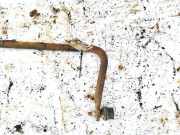 Stabilisator Vorne Volvo S40, 2004.01 - 2007.03 Gebraucht,