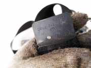 Sicherheitsgurt - Vorne Rechts Skoda Superb, I 2001.12 - 2008.03 3b1857706d,