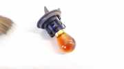 Glühbirnenfassung Blinker Renault Scenic, III 2009.02 - 2013.06 Gebraucht,