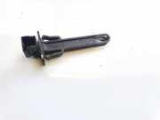 Sensor Innentemperatur Tesla Model Y, 2020 --> h081380224,10103701