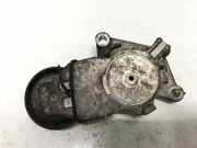 Spannrolle Citroen Berlingo, II 2008.04 - 2018 419484, tf049