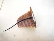 Sto?stangenhalter - Vorne Linke Nissan Primera, P12 2002.01 - 2008.12 Gebraucht,