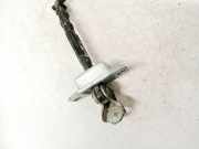 Türfangband Türbremse Türstopper - Hinten Rechts Daihatsu Sirion, 2005.01 - 2011.12 Gebraucht,