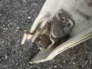 T?rscharnier Hinten Volkswagen Passat, B7 2010.08 - 2014.06 Gebraucht, CFFB