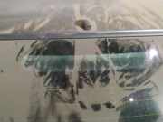 Zusatzbremsleuchte Volvo V40, I 2000.07 - 2004.06 facelift Gebraucht,