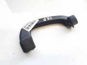 Haltegriff Haltegriff Verdeckgriff - Hinten Rechts Nissan Terrano, II 1993.02 - 2006.12 739400F600,