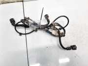 Kabelbaum Opel Astra, H 2004.03 - 2009.12 24467410,