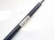 Gasdruckfeder Kofferraum Renault Espace, II 1991.03 - 1996.12 6025106762,