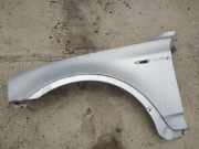 Kotflügel - Vorne Linke BMW X3 E83, 2003.01 - 2010.06 pilkas,