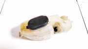 Scheibenwaschbehälter Vorne Wischwasserbehälter Renault Kangoo, 2003.05 - 2007.06 7700308814,7701706789 7701706732 8200179630 8200179632