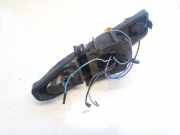 Lampenträger Heckleuchte - Hinten Renault Scenic, II 2003.06 - 2006.06 159118,