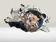 Schaltgetriebe Toyota Avensis, II 2003.04 - 2006.03 Gebraucht,