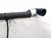 K?hlerschlauch Citroen C3, I 2002.02 - 2005.06 Gebraucht,