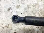 Gasdruckfeder Kofferraum Renault Vel Satis, 2002.06 - 2009.12 Gebraucht,