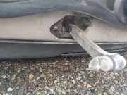 Türfangband Türbremse Türstopper - Hinten Linke Volvo V70, II 2001.01 - 2005.06 Gebraucht,