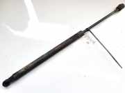 Gasdruckfeder Kofferraum Hyundai Santa Fe, 2000.11 - 2006.03 8116126021,