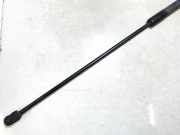 Gasdruckfeder Kofferraum Lexus IS, II 2005.10 - 2013.03 Gebraucht,