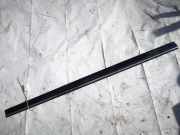 Zierleiste Tür Zier-Schutzleiste - Vorne Rechts Mercedes-Benz w209, 2002.06 - 2009.12 A2096901282,A2096901282