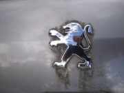Emblem Peugeot 307, 2000.08 - 2005.06 Gebraucht,