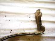 Tankeinfüllstutzen Tankrohr Kraftstoffrohr Opel Astra, H 2004.03 - 2009.12 Gebraucht,