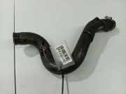 Kühlerschlauch Nissan Primera, P12 2002.01 - 2008.12 Gebraucht,
