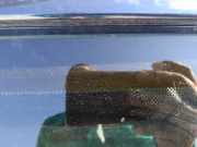 Zusatzbremsleuchte Citroen Evasion, I 1994.01 - 2002.12 Gebraucht,