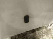 Waschwasserdüse Scheibenreinigung Ford C-MAX, 2011.01 - 2019 Gebraucht,