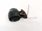 Alarmanlage Volkswagen Passat, B5 1996.08 - 2000.11 Gebraucht , AEB