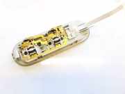 Innenraumleuchte Renault Scenic, II 2006.06 - 2009.02 facelift 8200073231,