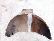 Radhausschale - Hinten Linke Audi A4, B5 1999.09 - 2001.08 facelift 8d0810171,