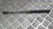 Gasdruckfeder Kofferraum Nissan Primera, P11 1996.06 - 2001.12 844302f00,