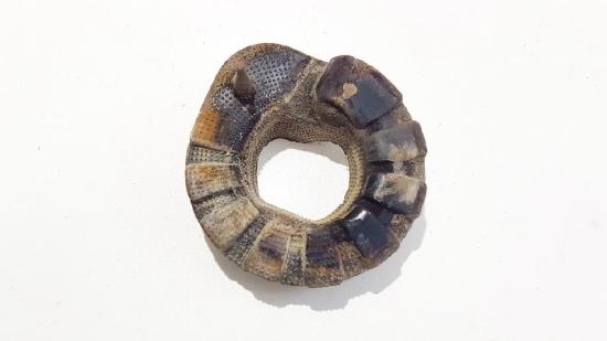 Federteller Nissan Qashqai, I 2006.01 - 2010.06 55032jd00a, Bild Federteller Nissan Qashqai, I 2006.01 - 2010.06 55032jd00a,