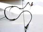Sensor für ABS - Hinten Linke Land-Rover Discovery, 2004.07 - 2009.09 0265007922,