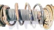 Fahrwerksfeder vorne Volkswagen Golf, V 2003.10 - 2008.10 Gebraucht, BSE